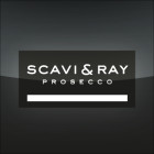 ScaviRay_Logo